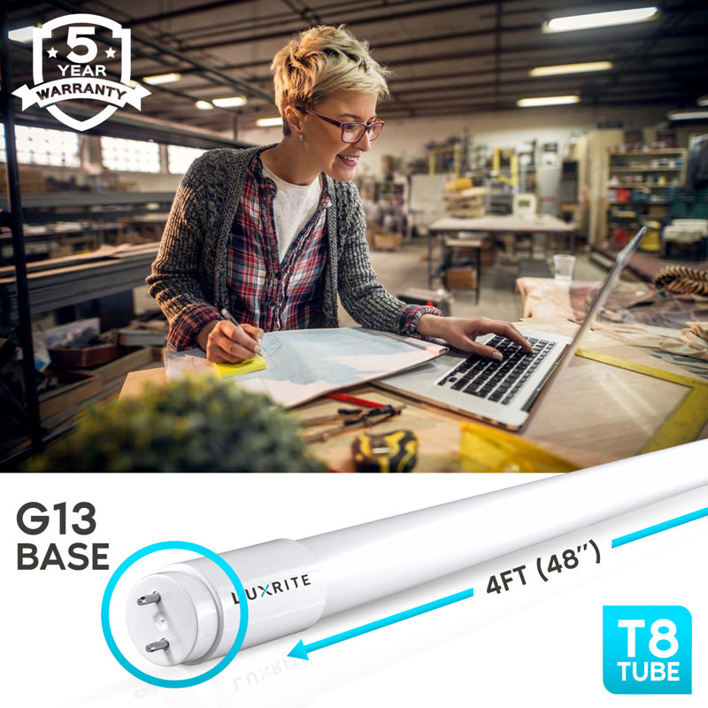 13 watts (32 watts équivalents), DEL T8, ampoule à intensité variable, culot G13 / à deux broches, 3000 K