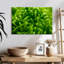 Harnek Lime Heart I-108876085