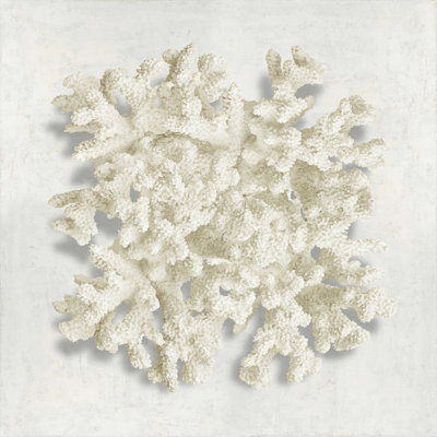 " Coral II " by Caroline Kelly