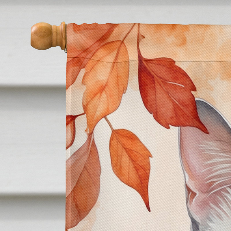 Chat en feuilles d'automne, Blanc étranger