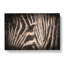 Eye of the Zebra in Abstract - Wrapped Canvas-55313188