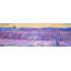 Paysage d'un champ de lavande - imprimé mauve contemporain