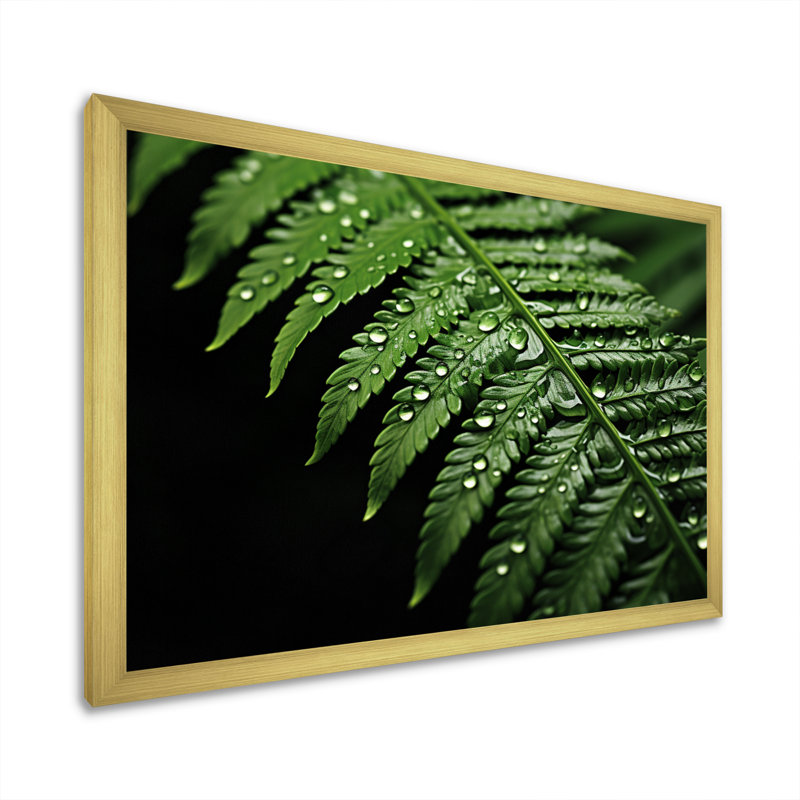 Ferns Serene Resilience - Imprimé, Cadre doré simple, H 16 po x l 32 po x P 1 po