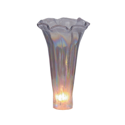 Novelty Lamp Shade