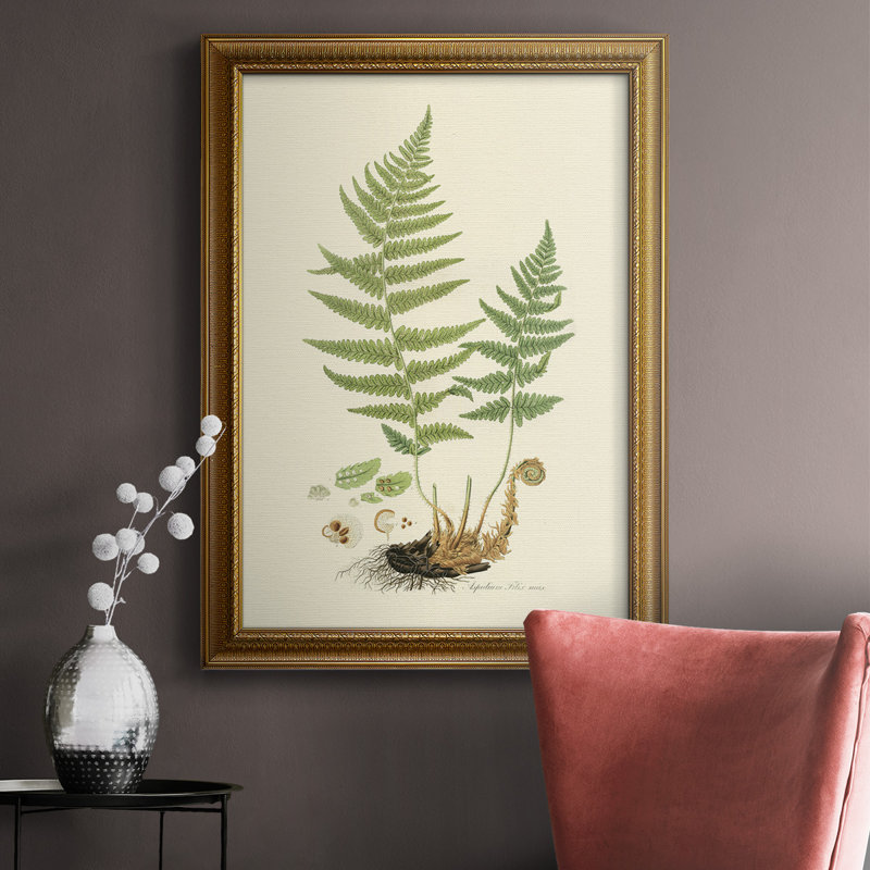 Toile encadrée de qualité supérieure Curtis Ferns II - prête à être accrochée, L 16 po x H 20 po