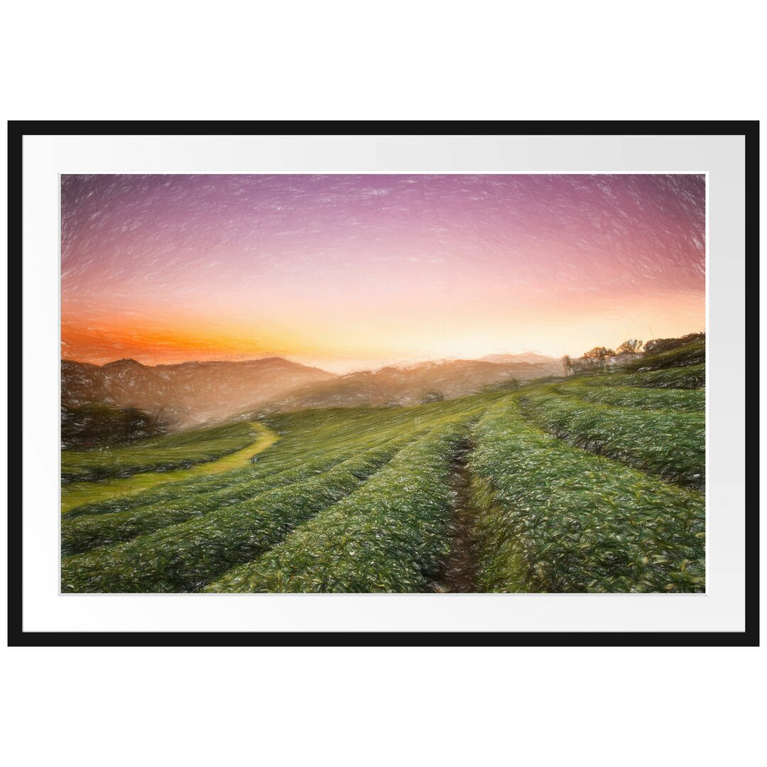 Gerahmtes Poster Sonnenaufgang Teeplantage Thailand