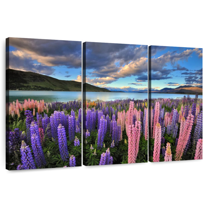 Lupins d'Alvord sur le lac Tekapo, H 48 po x l 74 po
