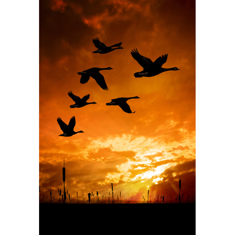 Migrating Canada Geese - Wrapped Canvas Print, 30cm H x 20cm W x 3.8cm D