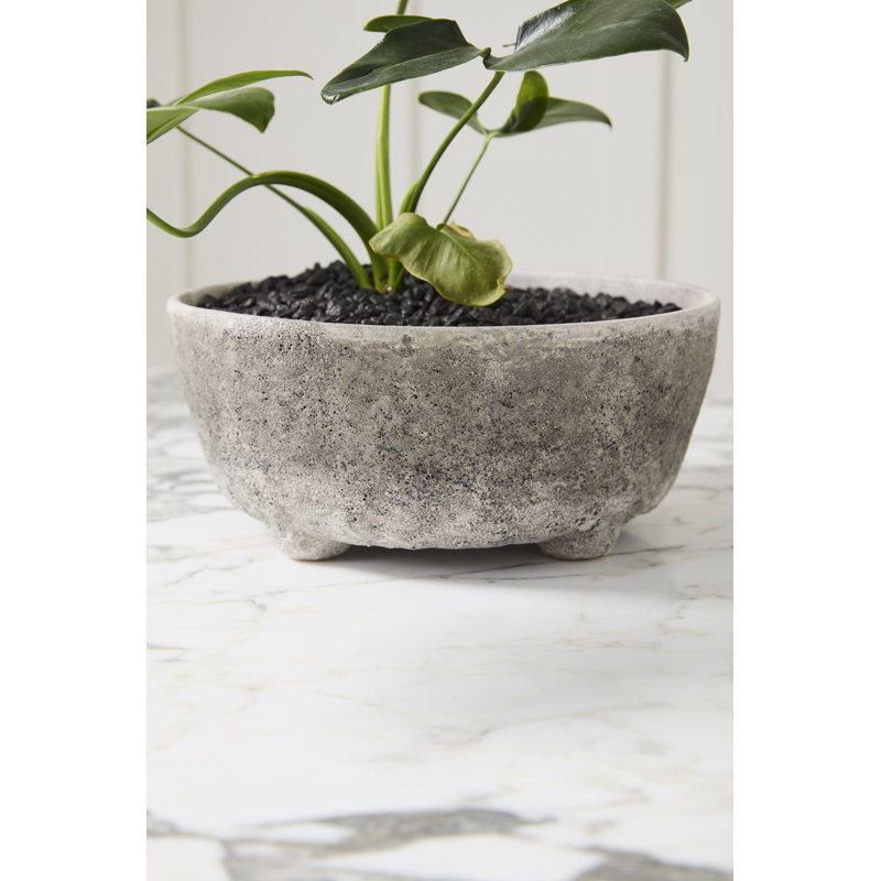 Stone Texture 10 In. Planter Bowl