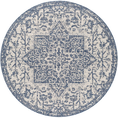 Oriental Indoor Rug