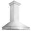 ZLINE 48" Designer Series Wall Mount Range Hood in Fingerprint Resistant Stainless Steel (8656S-48)