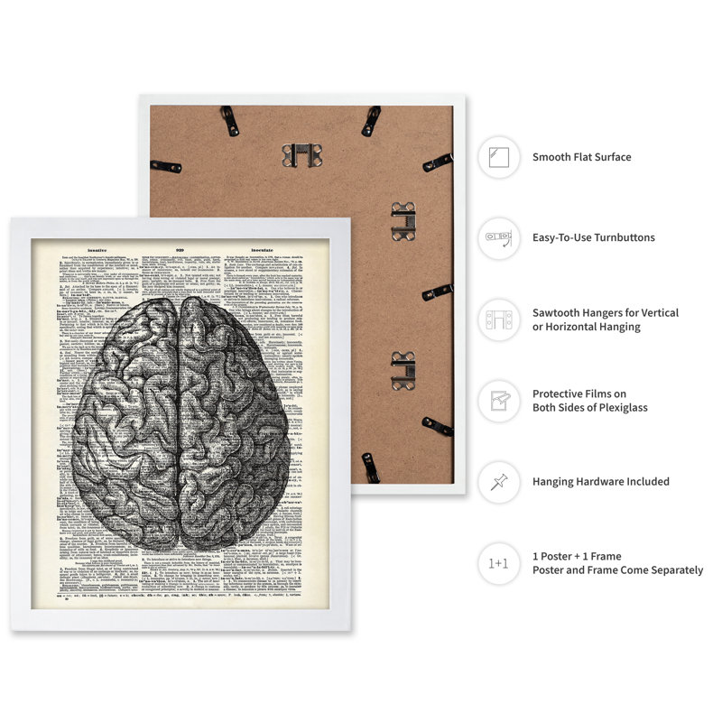 Cerveau humain, Poster, White Framed, 11"H x 14"W