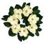 Couronne de magnolia 24 po 24 po