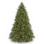 Sapin Fraser 7,5 pi avec lumières DEL bicolores 7,5 pi.