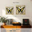 Abeille papillon Brampt II-109214736