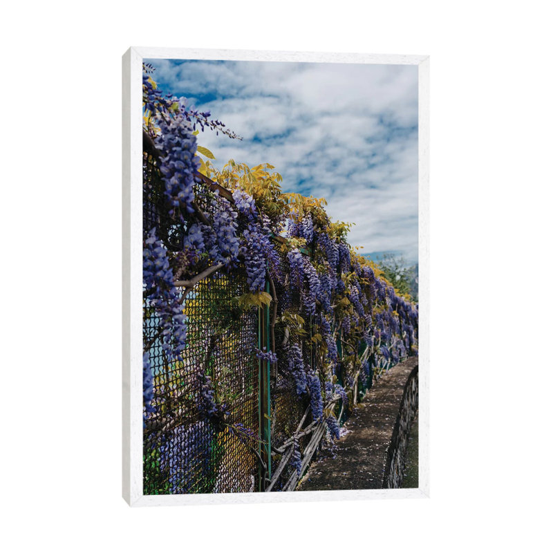 Amalfi Coast Blooms III by Bethany Young - Print on Canvas, White Framed, 101.6cm H x 66.04cm W x 3.81cm D