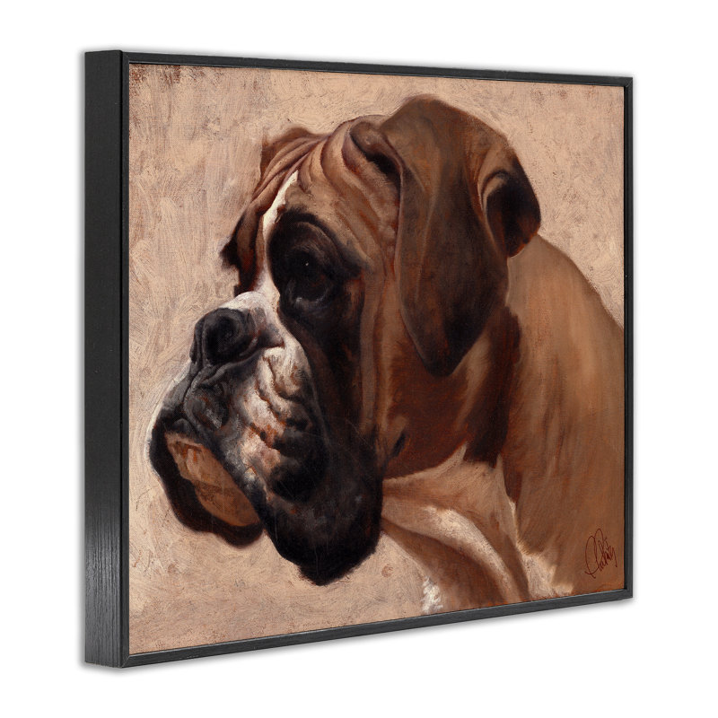 «Boxer Dog Neutral Portrait», estampe numérique par Thomas Fluharty, H 11 po x l 14 po, Giclée encadrée noir minuit