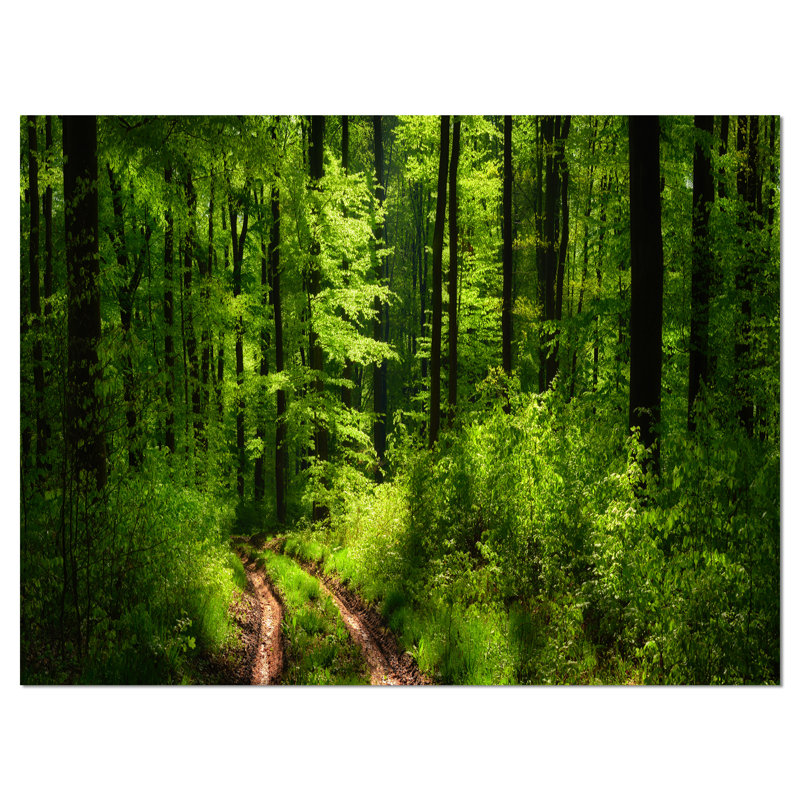 Green Forest Landscape Wrapped Canvas Print, 12" x 20"