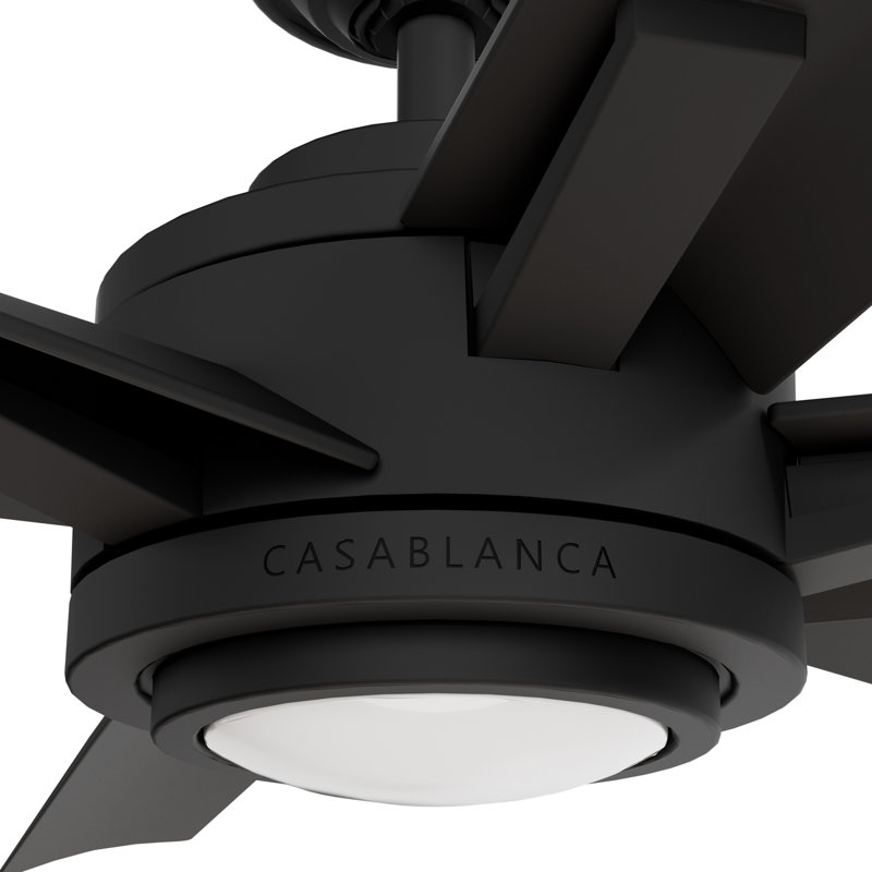 Casablanca 65 inch Melia ENERGY STAR®  Damp Rated Ceiling Fan with Lights and Wall Control, Matte Black