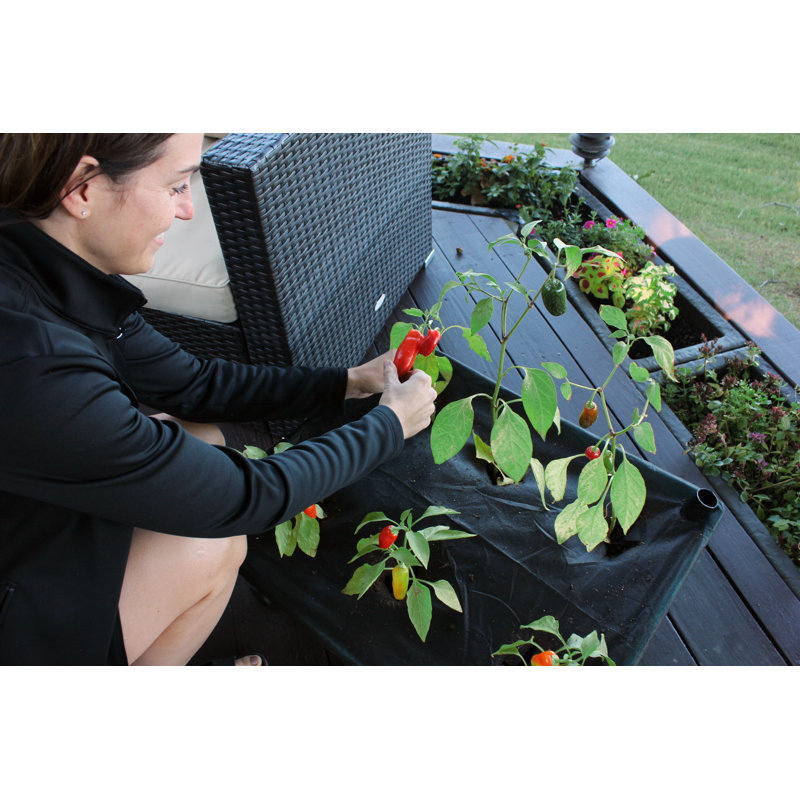 Vivas Plant Stand