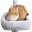 Amneris 145cm H Cat Tree