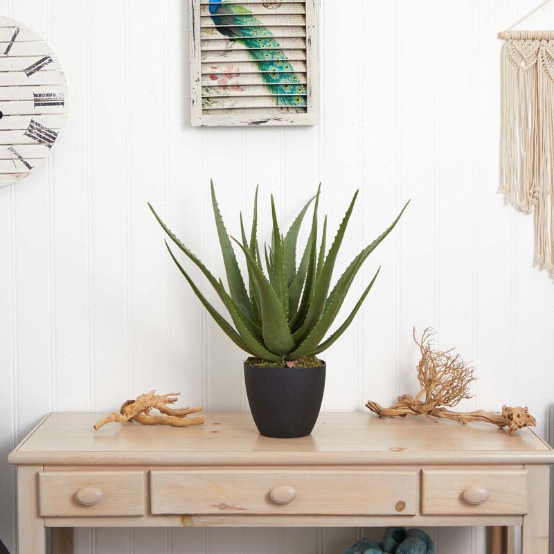 26'' Faux Agave Succulent in Planter