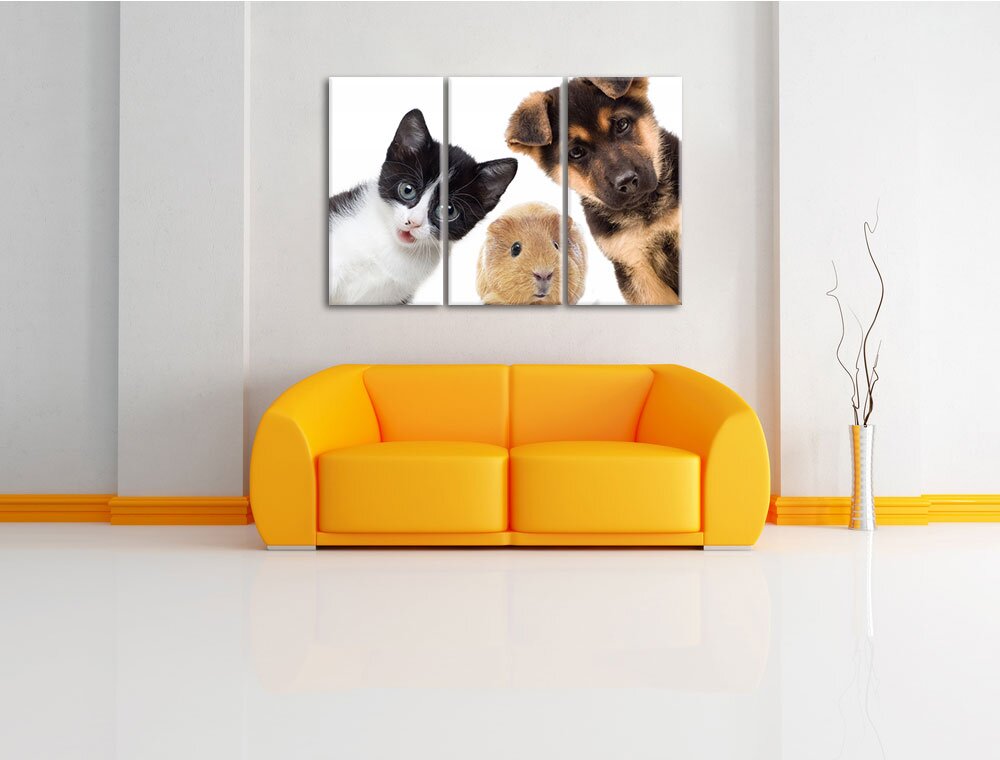 3-tlg. Leinwandbilder-Set Lustiges Trio: Hund Katze Meerschwein, Fotodruck