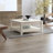 Weddel Basilico Coffee Table with Storage-1837336241
