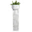 Kelleia Plant Stand-1258348470