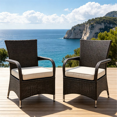 Outdoor Wicker Dining Chairs, Aluminum Frame Patio Armchairs with Cushions