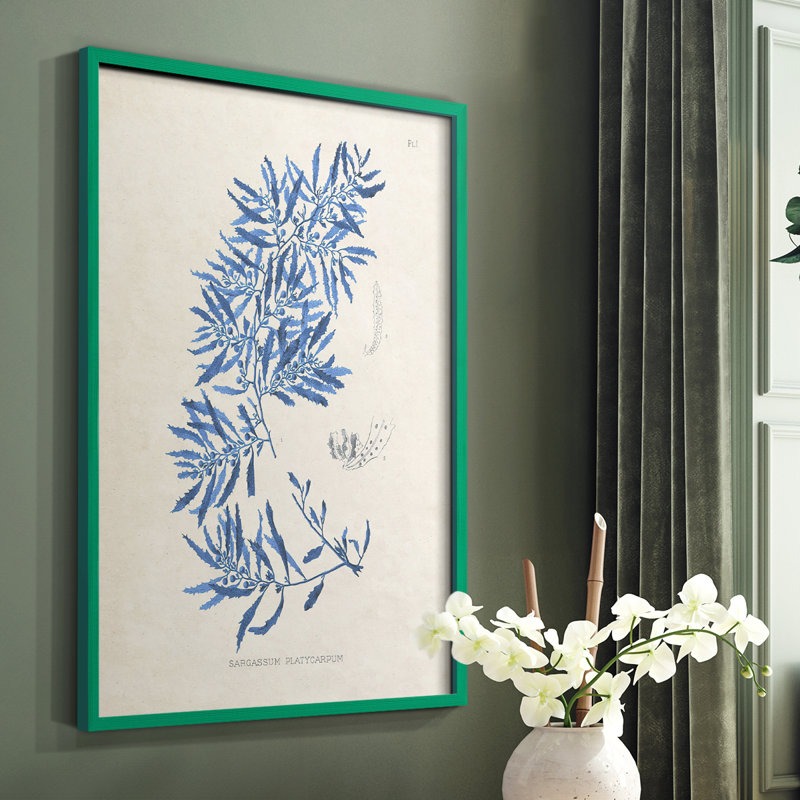 «Blue Marine Algae III», reproduction encadrée - bois massif, Vert, H 10 po x l 8 po