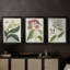 Antique Botanical Collection X - Toile tendue avec châssis sur mesure - 3 pièces-1593390815-1593390813