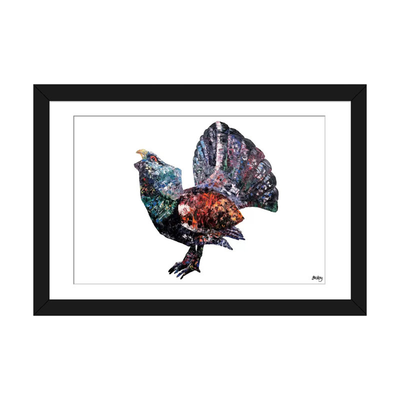 « capercaillie », impression sur toile, H 16 po x l 24 po x P 1 po, Papier d'art encadré noir, Blanc