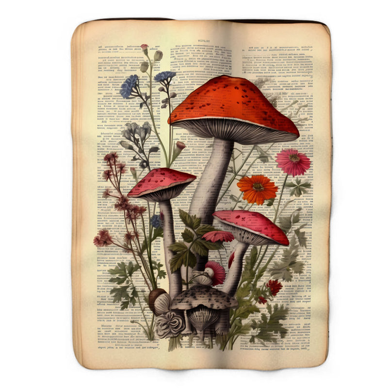 Jeté Mushroom Book - 1 pièce Sherpa Premium, L 50 po x L 60 po