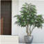 Saule artificiel 7 pi, plante de verdure artificielle d'intérieur pour la maison, appartement ou bureau, 1pc / ensemble