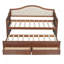 Lit de jour simple avec lit gigogne et 2 tiroirs de rangement-129373201