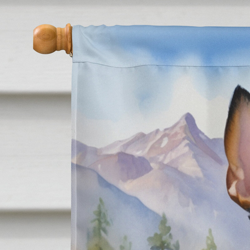 Drapeau Cowboy Welcome House, Terrier de rat