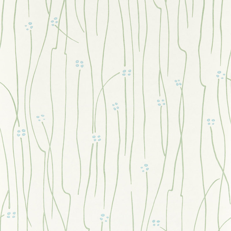 Eizou Avocado/ Sky/Chalk, Blue
