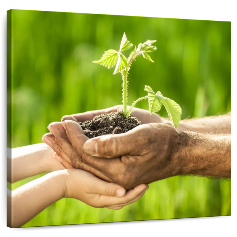 Senne Old Handing Seedling To Young, 10" H x 10" W