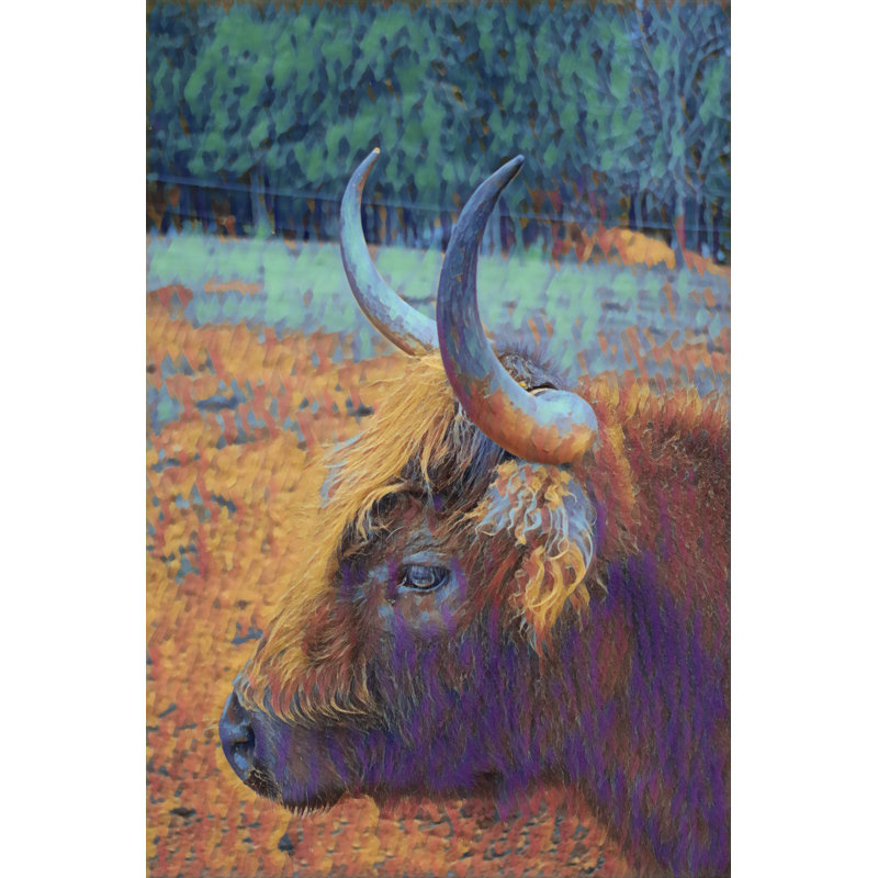 Highland Cow - Wrapped Canvas Print, 46cm H x 30cm W x 3.8cm D