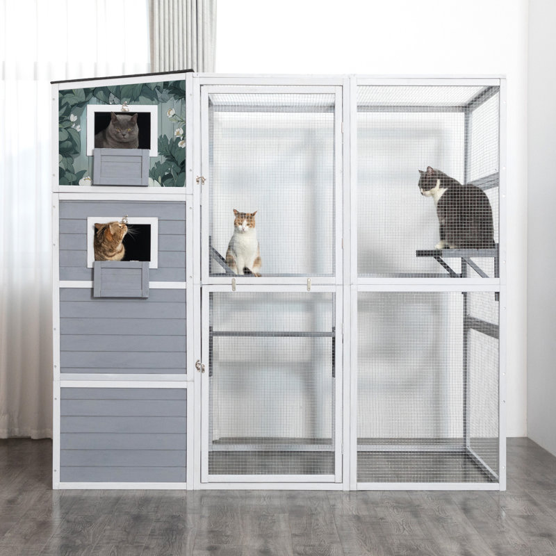 Cat Cage