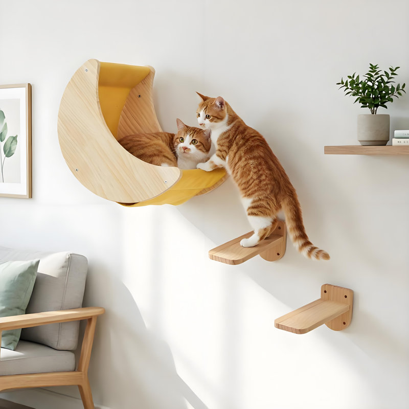 Escalier mural pour chat avec hamac