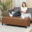 Loggins Faux Leather Storage Bench-811222444