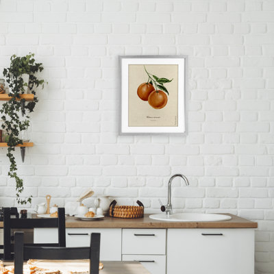 «Orange Fruit Portrait», reproduction encadrée sous verre, conception de Danielle Murray