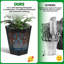16cm Plant-248966973