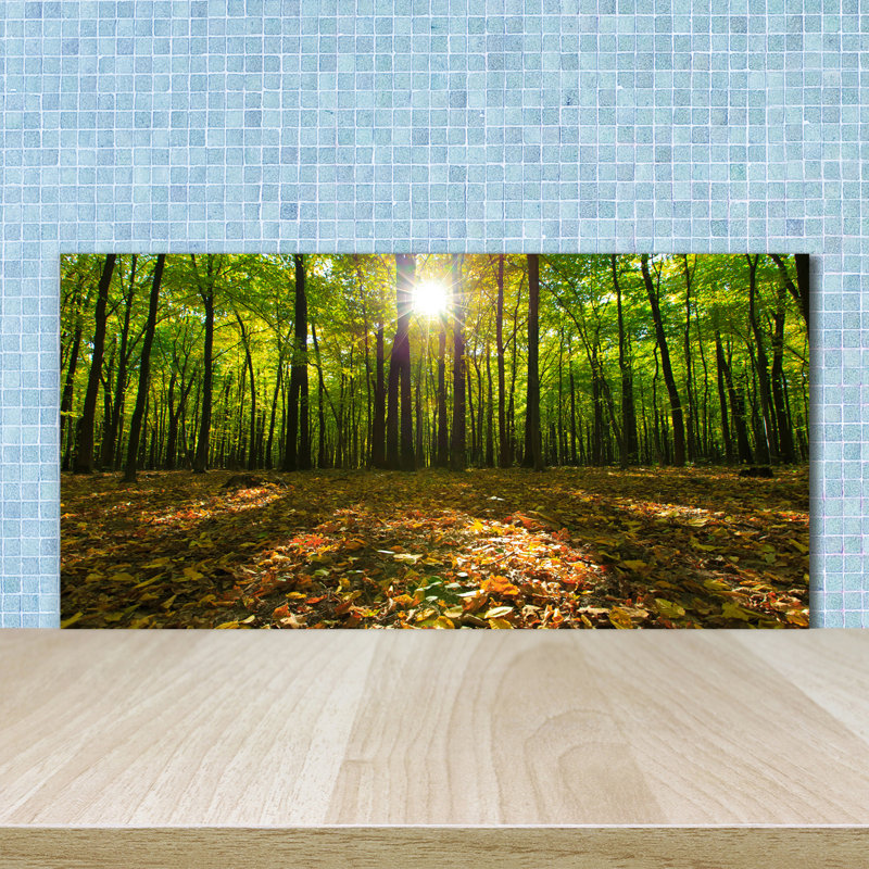 50cm W x 100cm L Glass Peel and Stick Panel