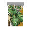 Drap-housse et taie décorative Ambesonne-96237371