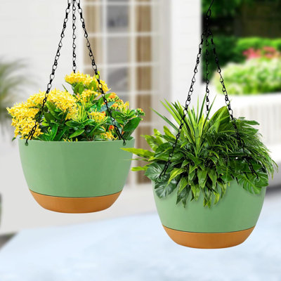 Elevated Planter