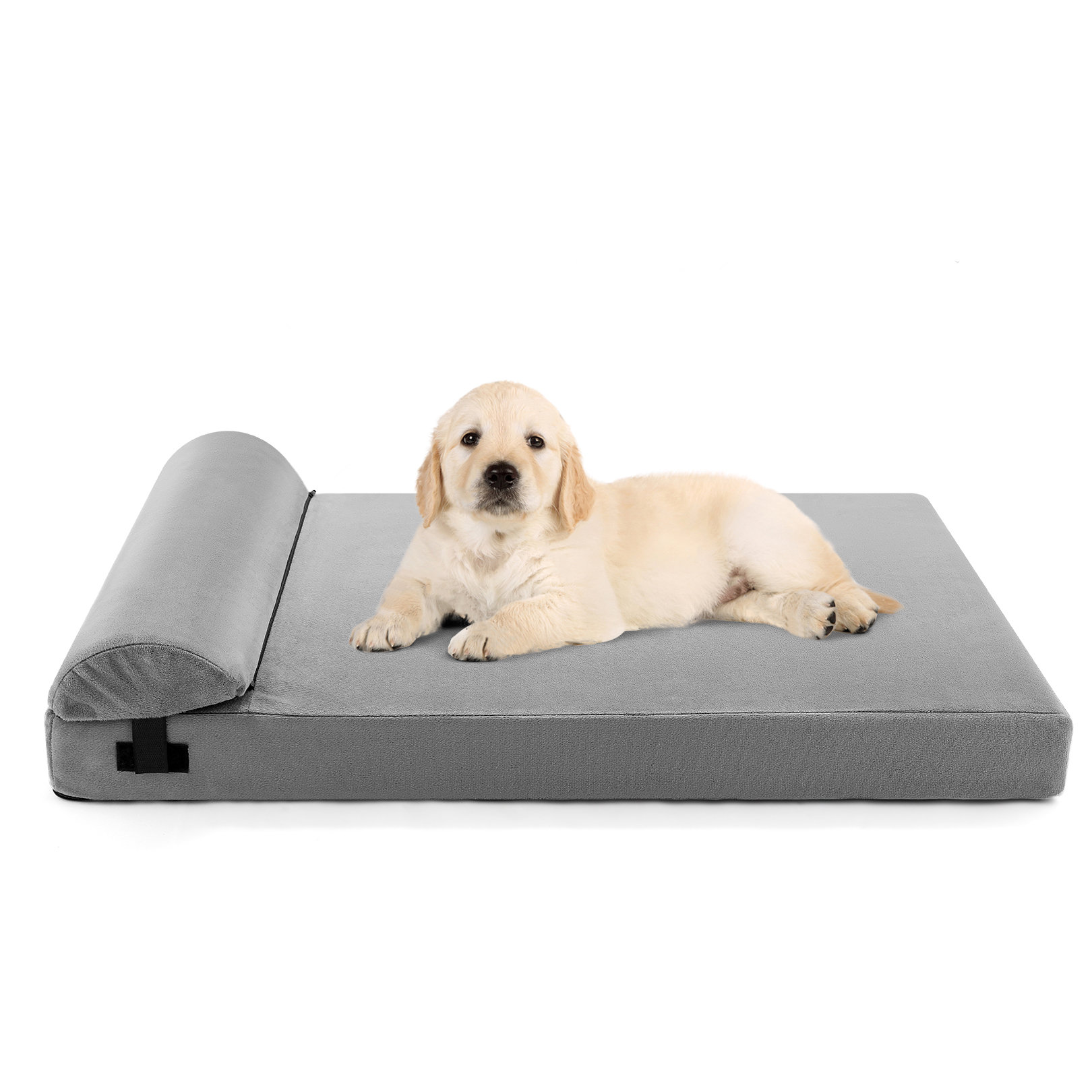 https://assets.wfcdn.com/im/72346002/compr-r85/2401/240166951/memory-foam-dog-bed-for-small-dog-orthopedic-dog-bed-waterproof-mattress-with-washable-cover-dog-crate-pad-bed-with-detachable-pillow-and-non-slip-bottom-size-m-32x20.jpg