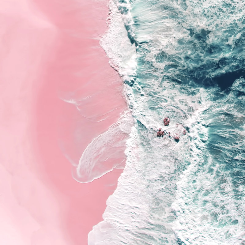 Sea Love, H 12 po x l 12 po